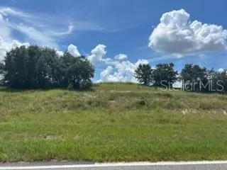 N LAKE PATRICK RD, Babson Park, FL 33827