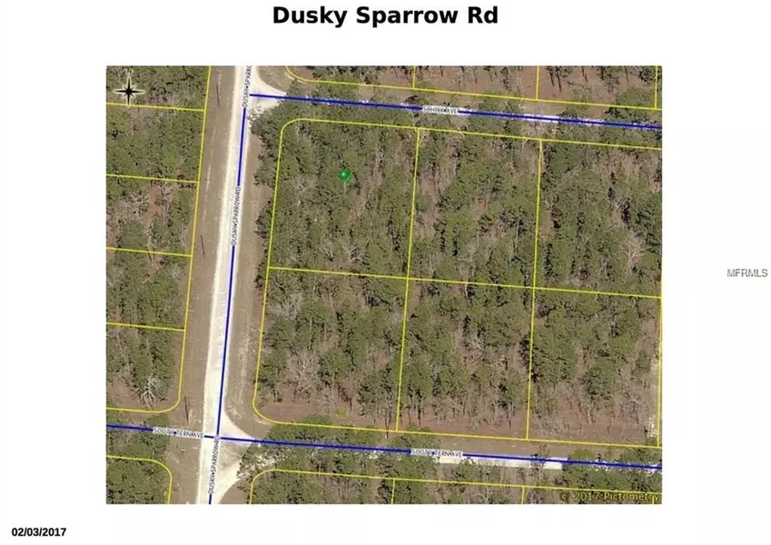 16190 DUSKY SPARROW RD, Weeki Wachee, FL 34614