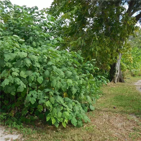 10TH AVE NE, Mulberry, FL 33860