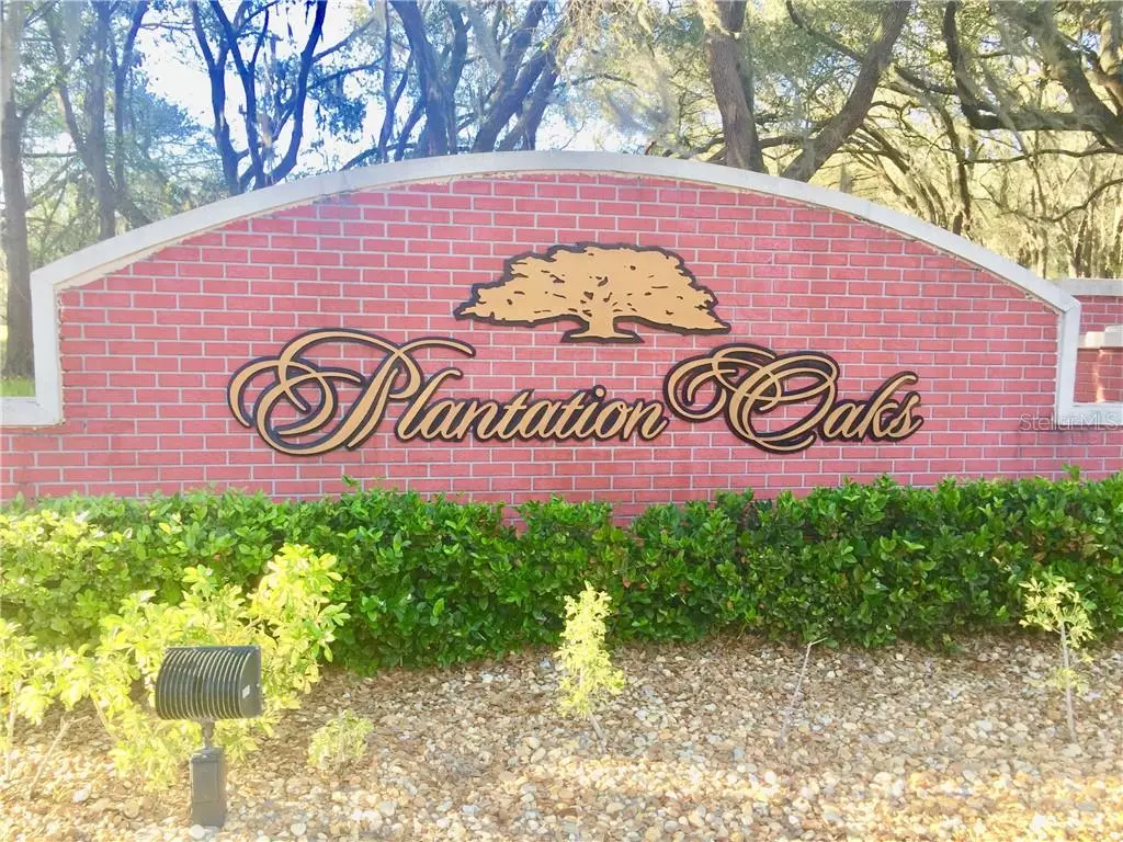 Plant City, FL 33567,6905 ORIANNA OAKS DR