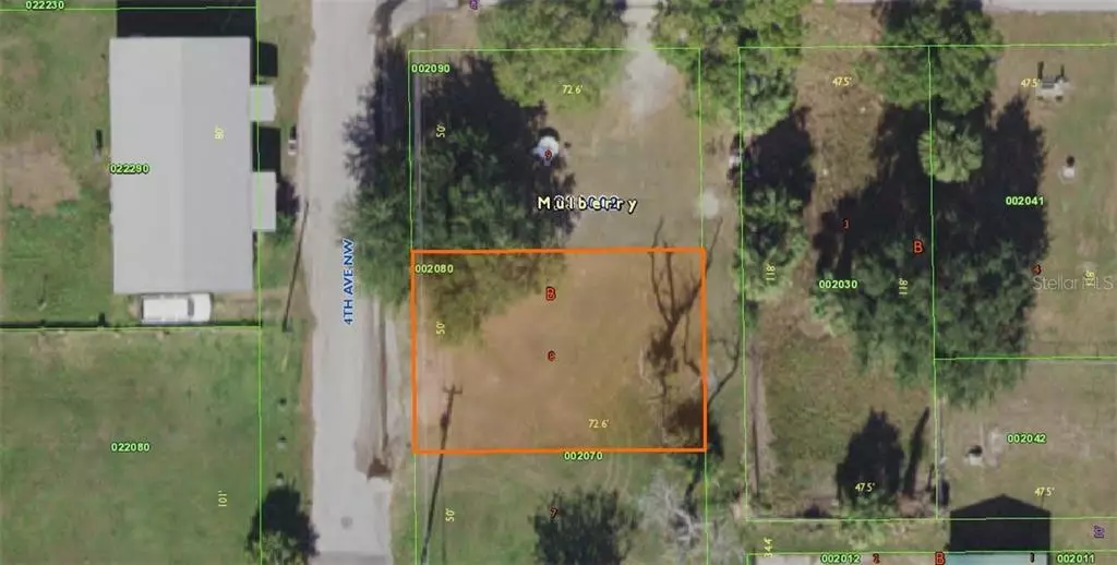 Mulberry, FL 33860,107 NW 4TH AVE