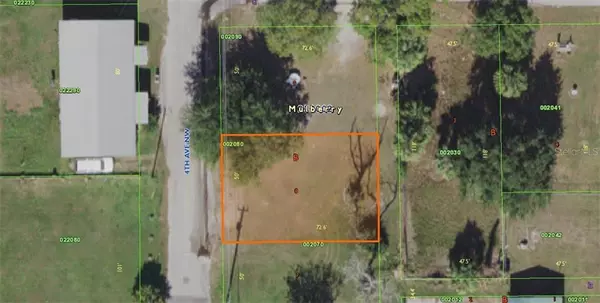 107 NW 4TH AVE, Mulberry, FL 33860