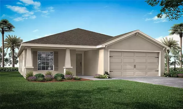 111 BLUE ALICE SPRING, Ruskin, FL 33570