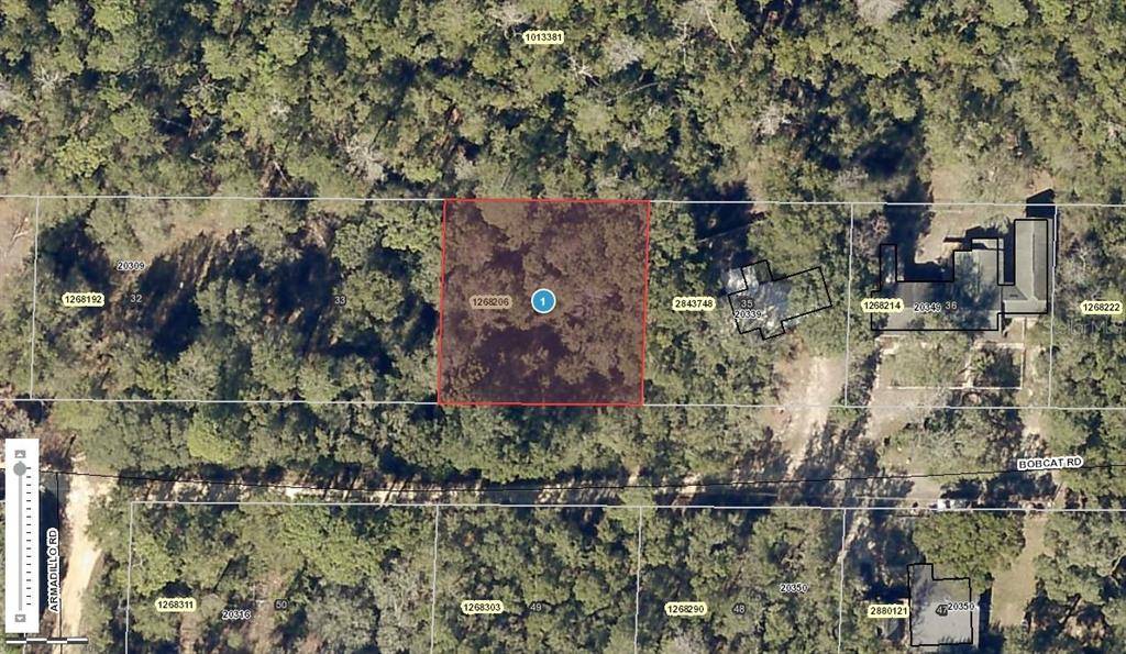 0 BOBCAT RD, Altoona, FL 32702