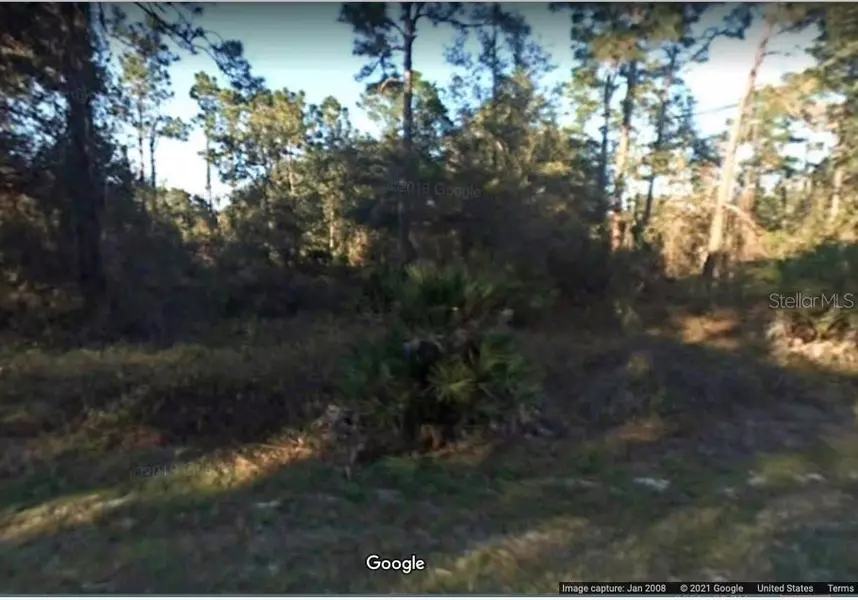 3141 DELAFIELD AVE, Lake Placid, FL 33852