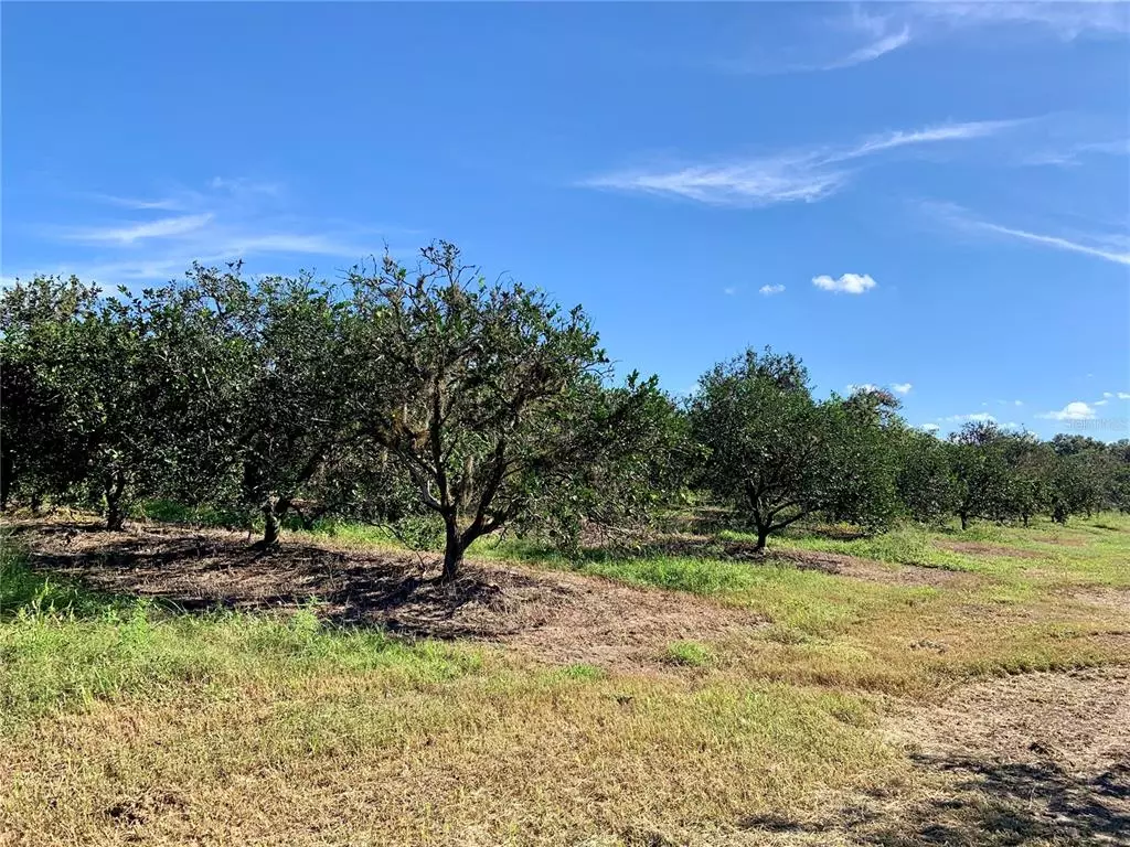 Bowling Green, FL 33834,BARKDOLL RD