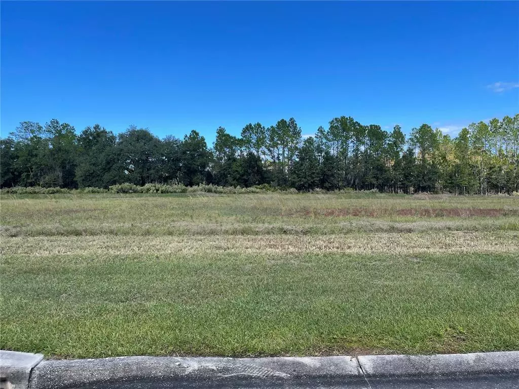 Lakeland, FL 33809,0 CYPRESS TRACE BLVD