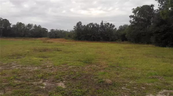 LOT 3 CYPRESS TRACE BLVD, Lakeland, FL 33809