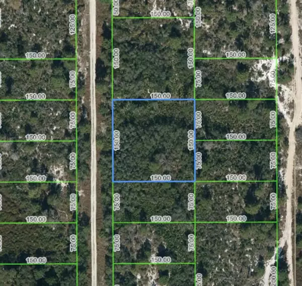 Lake Placid, FL 33852,151 PATTON AVE