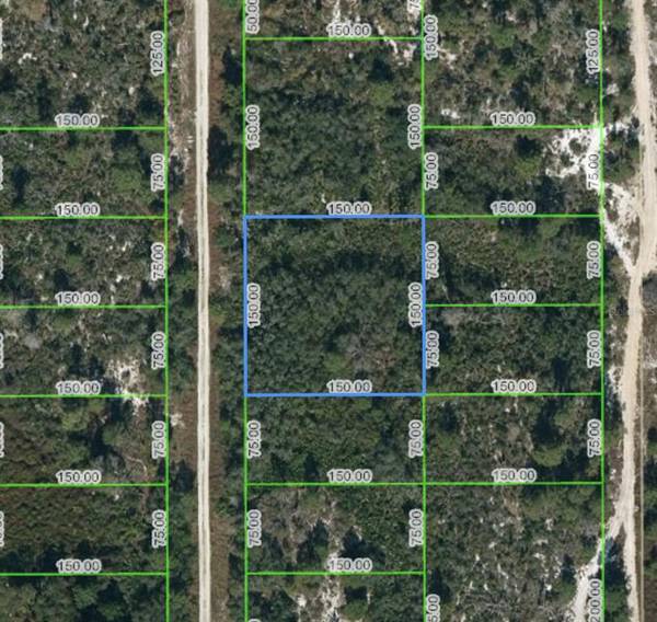 151 PATTON AVE, Lake Placid, FL 33852