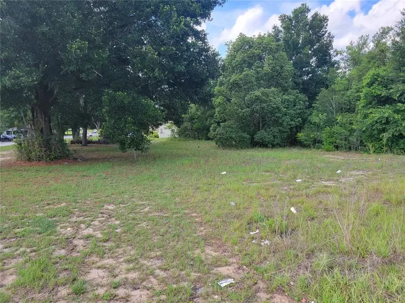 0 CLINTON AVE, Dade City, FL 33525