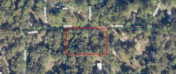 Ocklawaha, FL 32179,SE 88TH LN