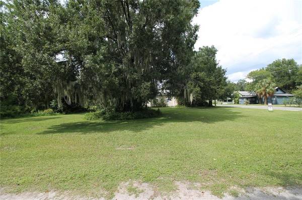 602 NW 2ND AVE, Mulberry, FL 33860