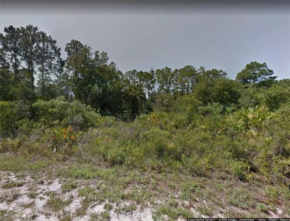 Lake Placid, FL 33852,3346 POPINJAY AVE