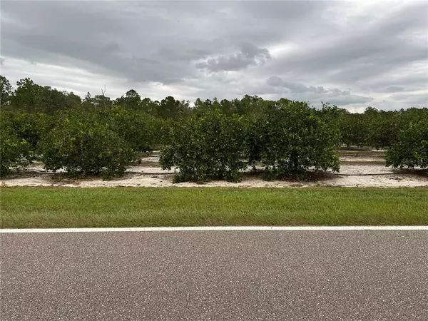 LAKE BUFFUM RD S, Fort Meade, FL 33841