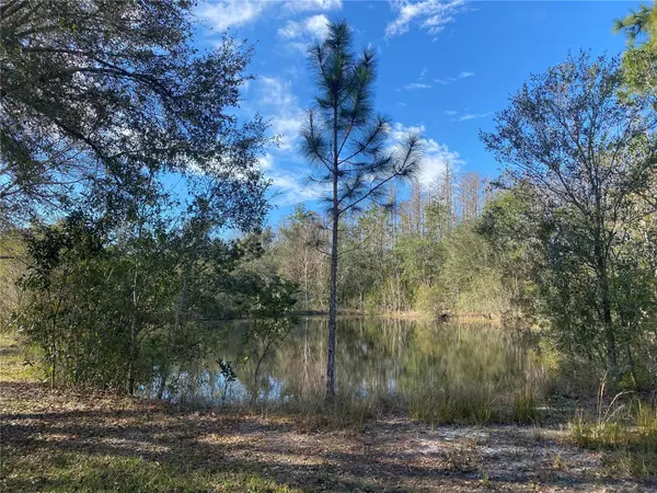 Polk City, FL 33868,3103 CYPRESS TRAILS DR