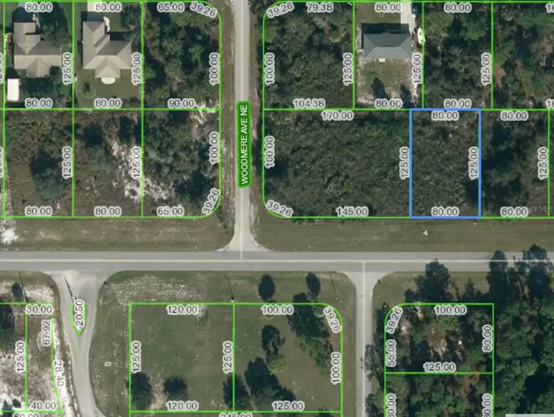 672 WASHINGTON BLVD NE, Lake Placid, FL 33852