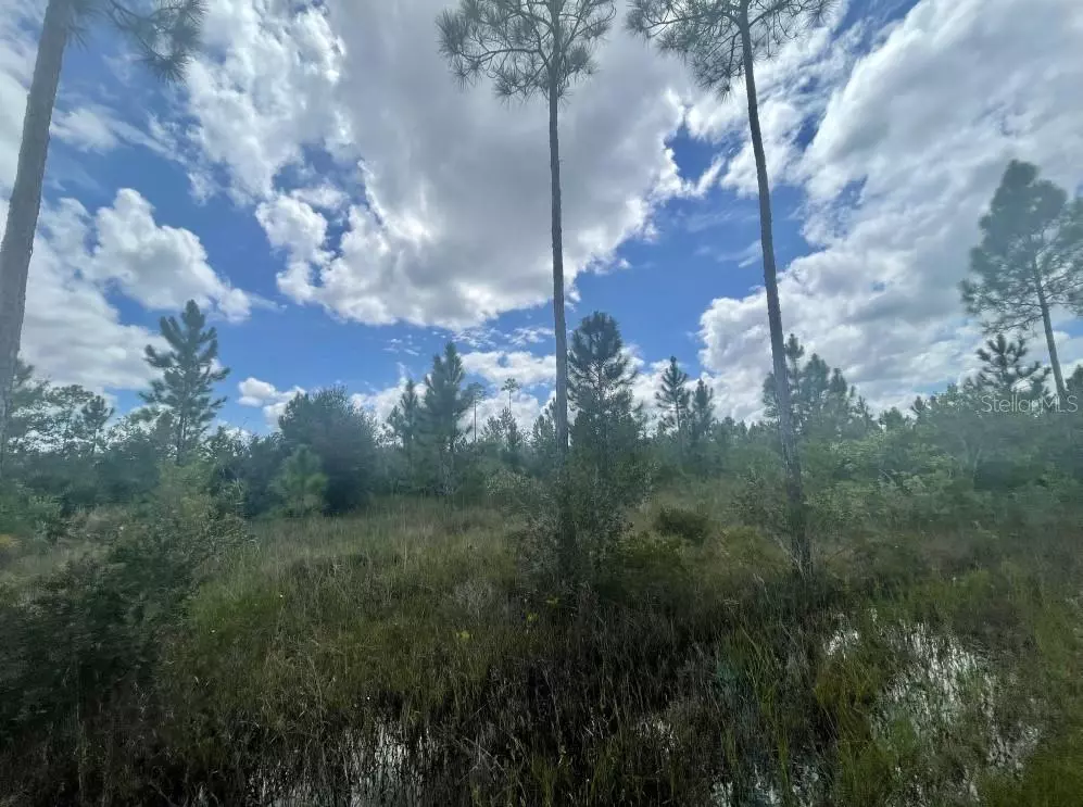 Indian Lake Estates, FL 33855,904 ALTHEA DR