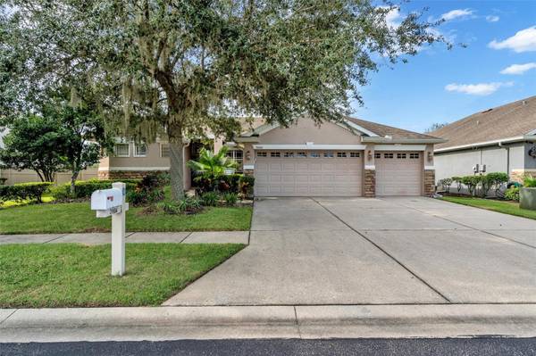 31604 BEARDED OAK DR, Wesley Chapel, FL 33543