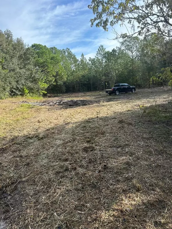 Polk City, FL 33868,0 ROUNDUP DR