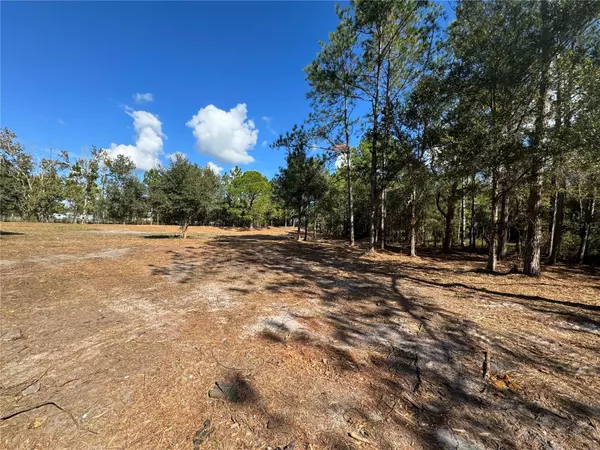 Polk City, FL 33868,0 ROUNDUP DR