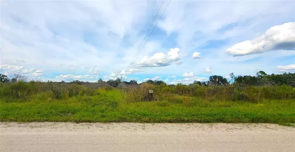 3996 JOHN CARLTON RD, Zolfo Springs, FL 33890