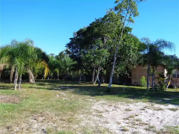 Lake Wales, FL 33859,5135 COBALT AVE