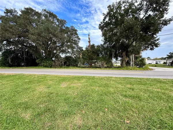 0 MT OLIVE RD, Polk City, FL 33868