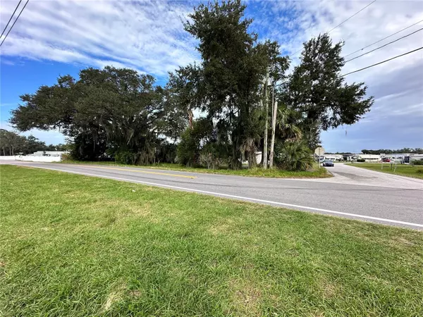 Polk City, FL 33868,0 MT OLIVE RD