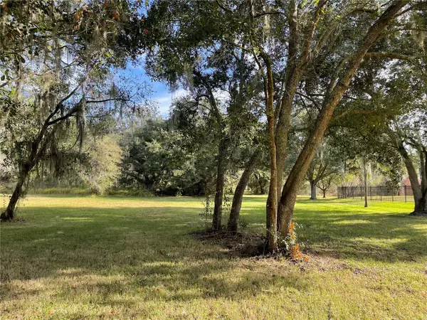 Seffner, FL 33584,2515 MARTUCCI RD