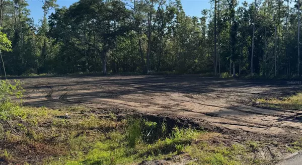Lakeland, FL 33809,0 PIONEER DR