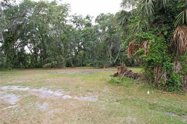 Mulberry, FL 33860,4374 RAMBLEWOOD S