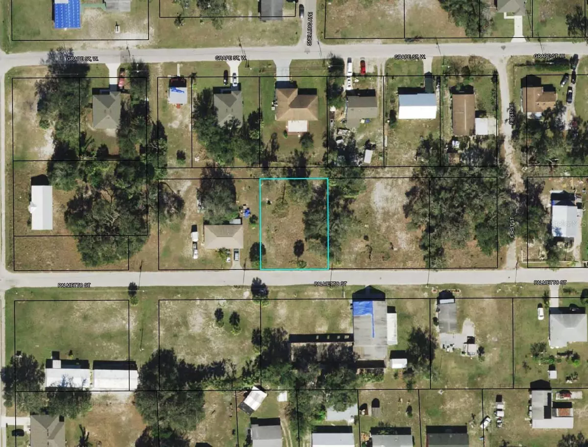 Bowling Green, FL 33834,710 PALMETTO ST