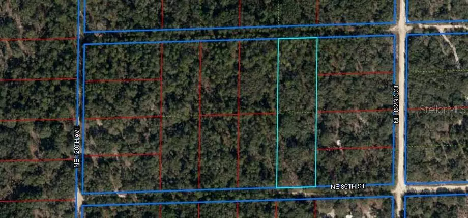 0 NE 86 ST, Bronson, FL 32621