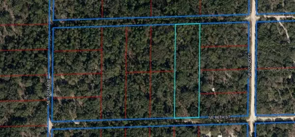 Bronson, FL 32621,0 NE 86 ST