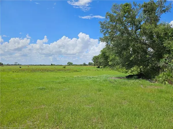 1000 CATTLE RANCH RD, Venus, FL 33960