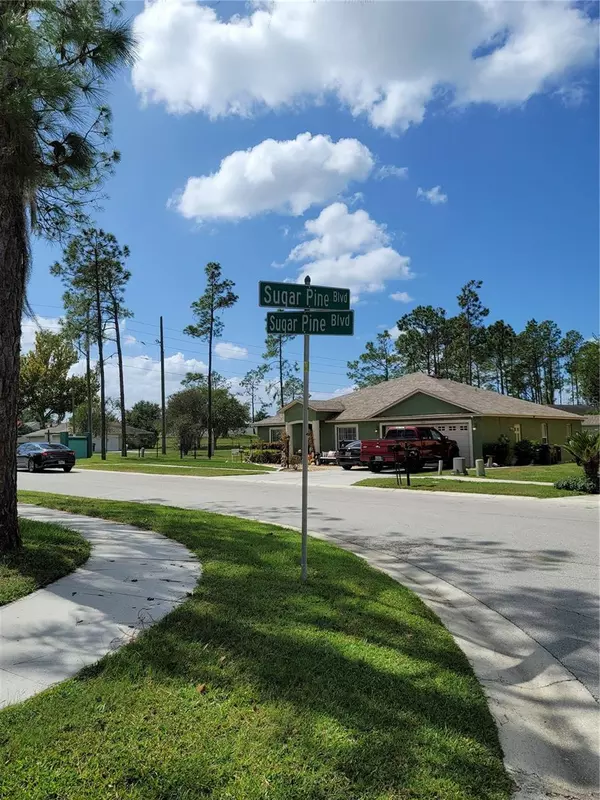 Lakeland, FL 33810,8052 SUGAR PINE BLVD