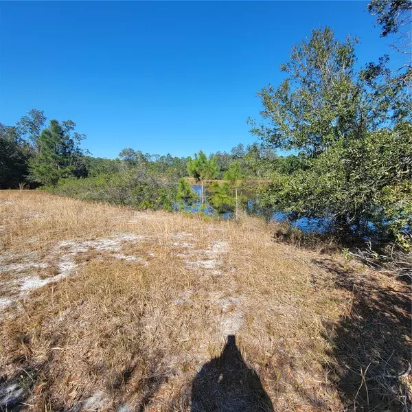 PFUNDSTEIN RD, Babson Park, FL 33827