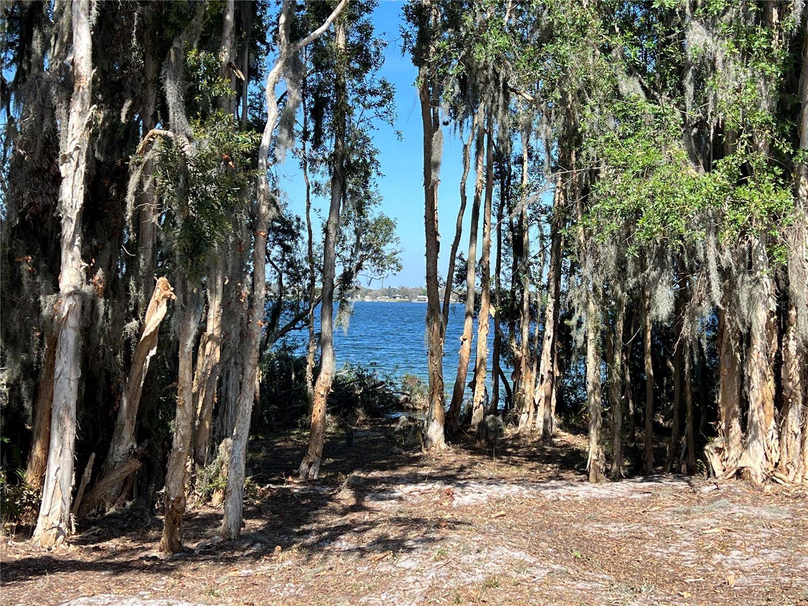 Eagle Lake, FL 33839,951 CRAFTSMAN RD