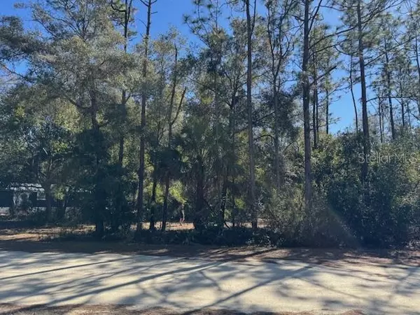 Crystal River, FL 34428,10220 W OHIO DR