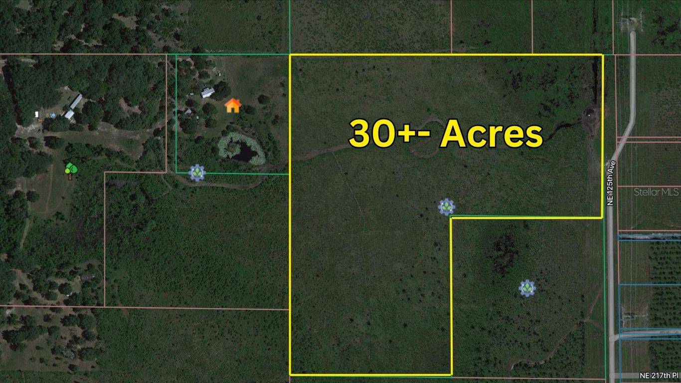 0 NE 125TH, Fort Mc Coy, FL 32134