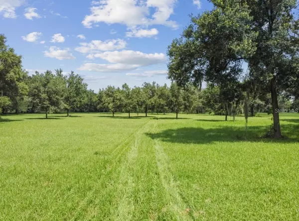 Plant City, FL 33565,2606 W SAM ALLEN RD