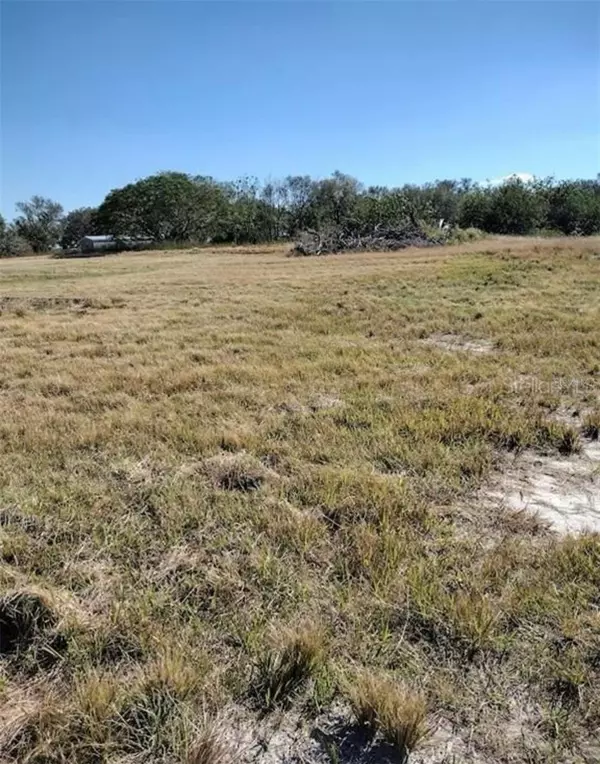 Fort Meade, FL 33841,10069 COUNTY ROAD 555