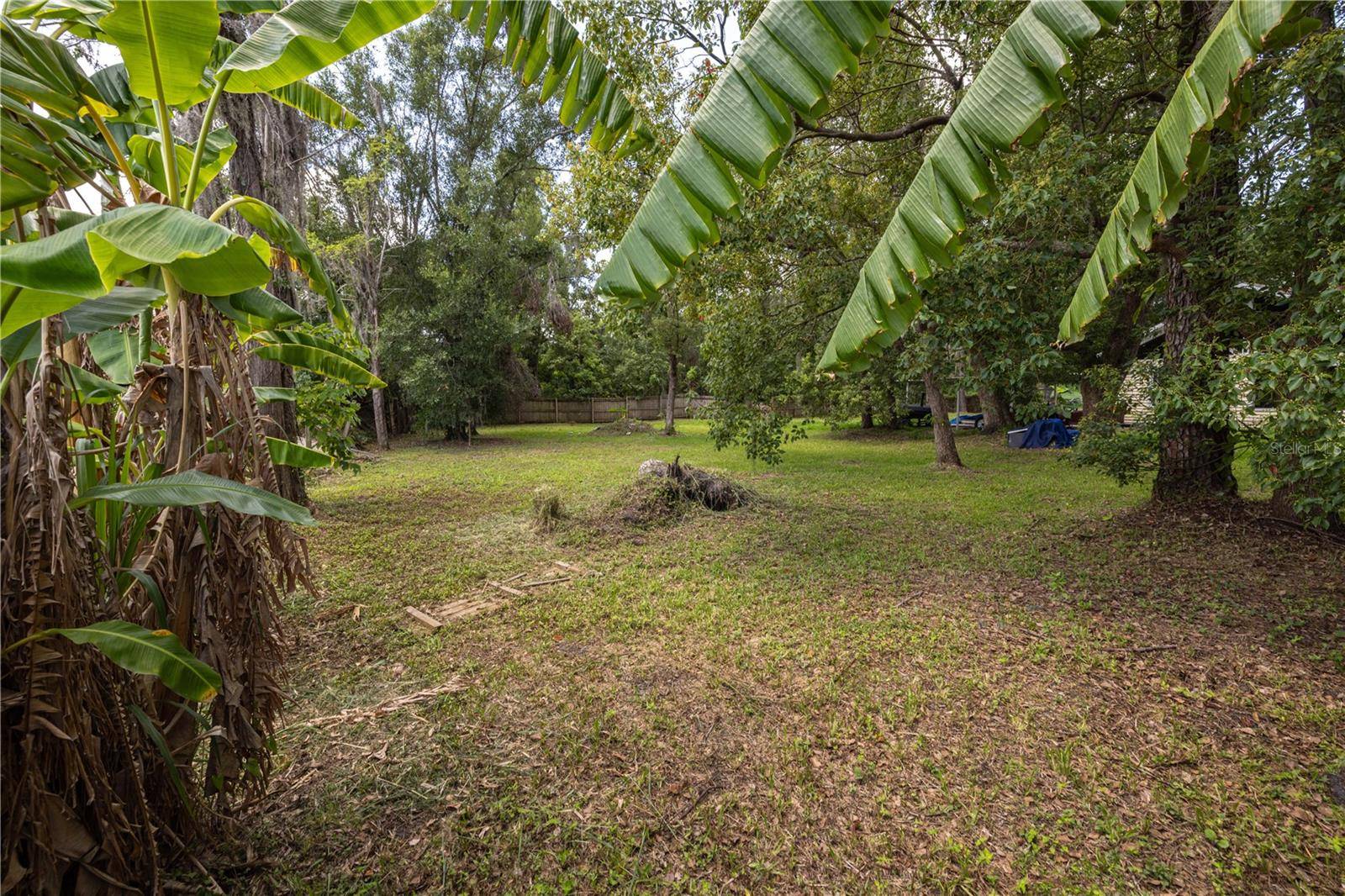 Lakeland, FL 33815,0 PLATEAU AVE