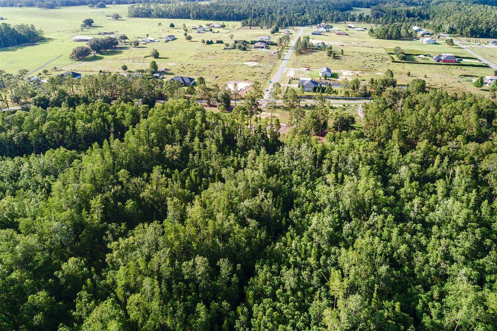 Polk City, FL 33868,000 GREEN POND RD
