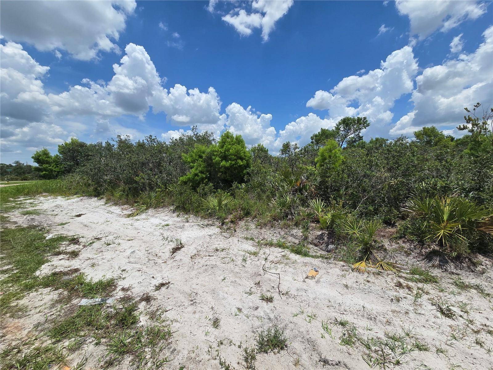 Sebring, FL 33872,6817 SAN BENITO DR