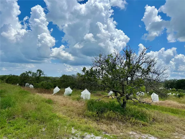 Avon Park, FL 33825,2600 E OAK ISLAND RD