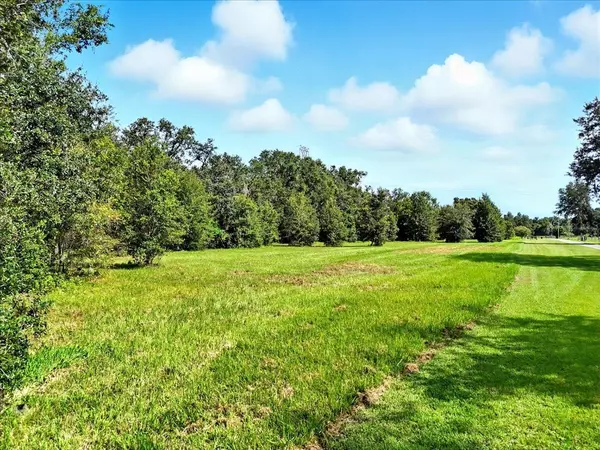 Plant City, FL 33565,4916 W KNIGHTS GRIFFIN RD