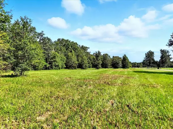 Plant City, FL 33565,4916 W KNIGHTS GRIFFIN RD