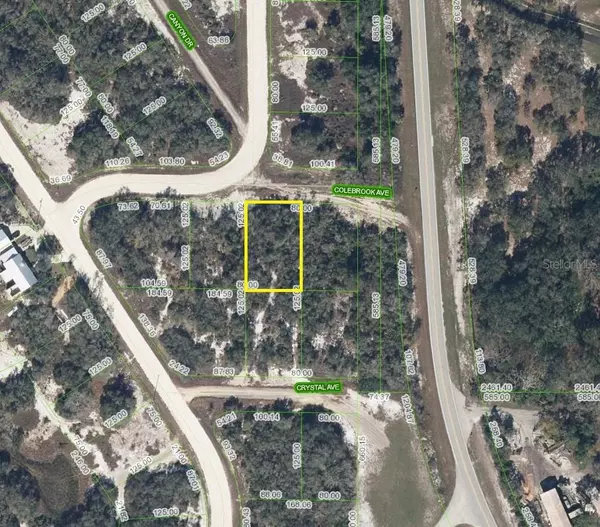 105 COLEBROOK AVE, Lake Placid, FL 33852
